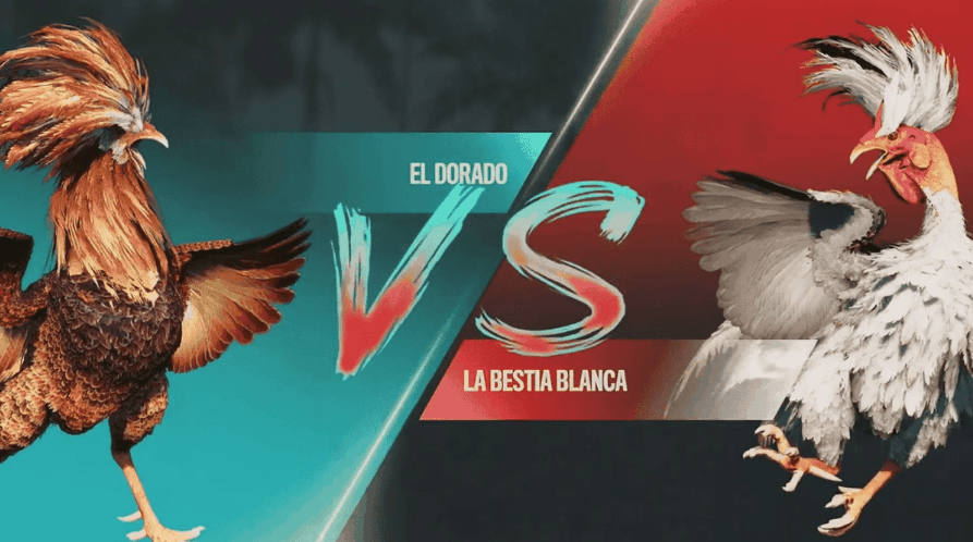game008 Slots Apostas